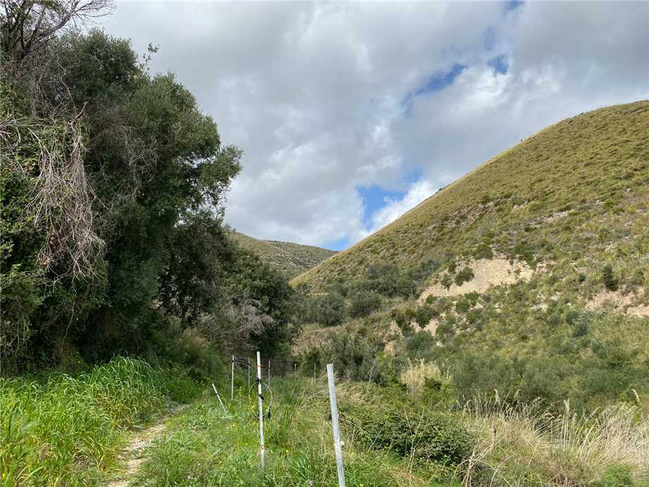 For sale Bare land Avola #36T n.11