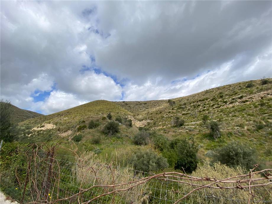 For sale Bare land Avola #36T n.12