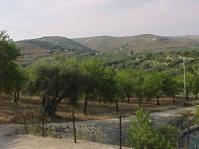 Vendita Terreno Avola #131T n.8