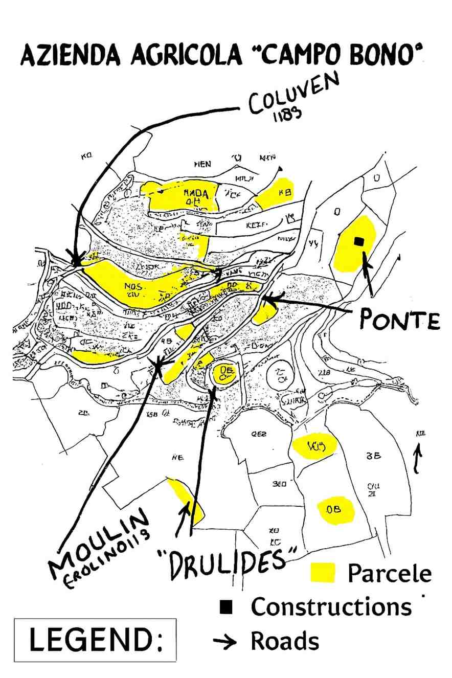 For sale Casale/Cascina/Casa colonica Bajardo #35TS n.20