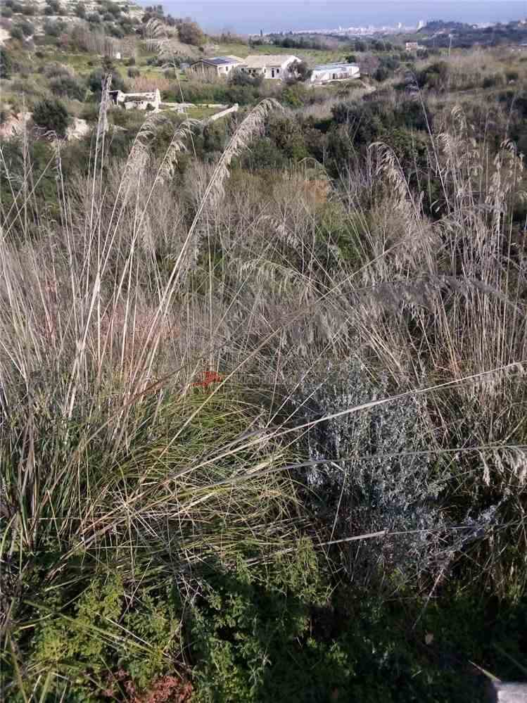 For sale Bare land Avola #37T n.18