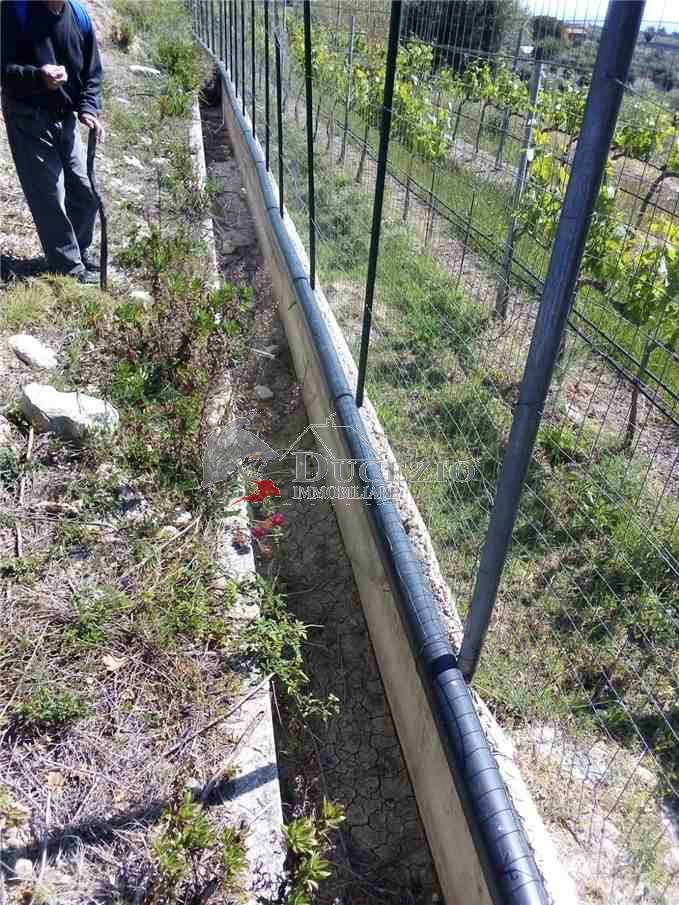 For sale Bare land Avola #37T n.20