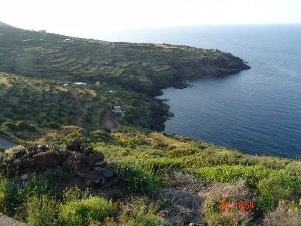 For sale Casale/Cascina/Casa colonica Trapani PANTELLERIA #7TP n.18