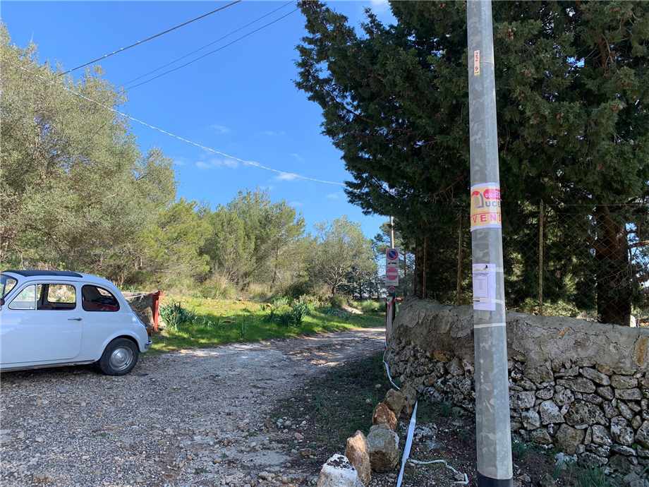 For sale Ruin Avola #14T n.12