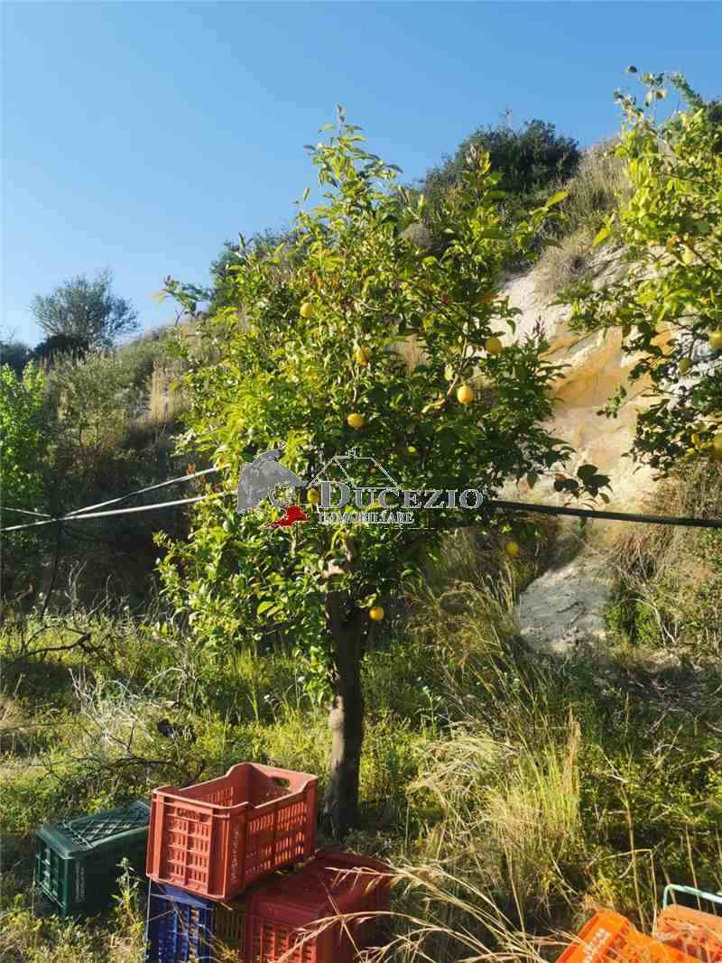 Vendita Terreno Noto #21T n.16