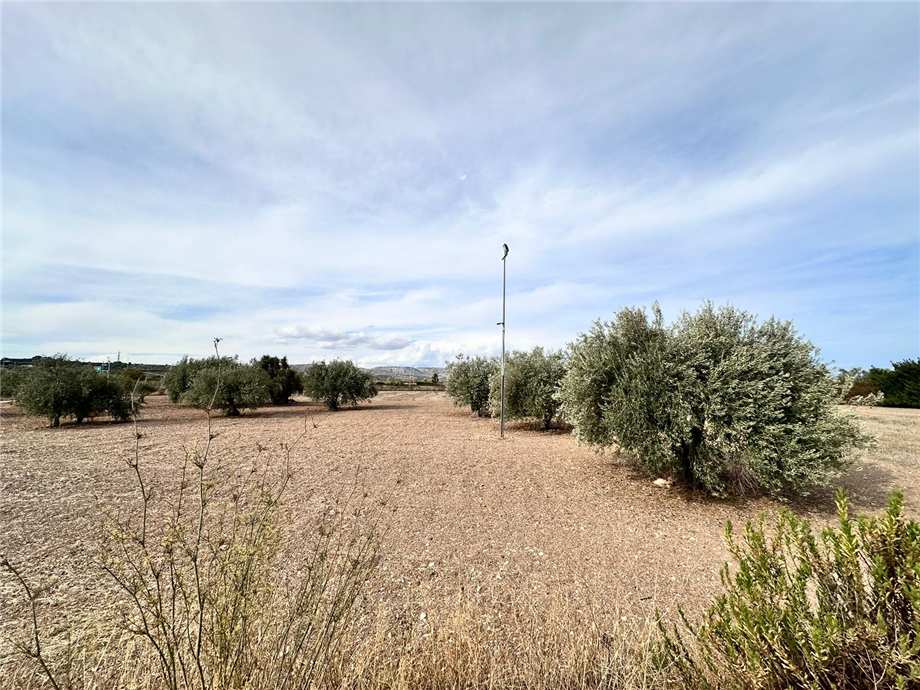 For sale Ruin Noto #25RT n.16