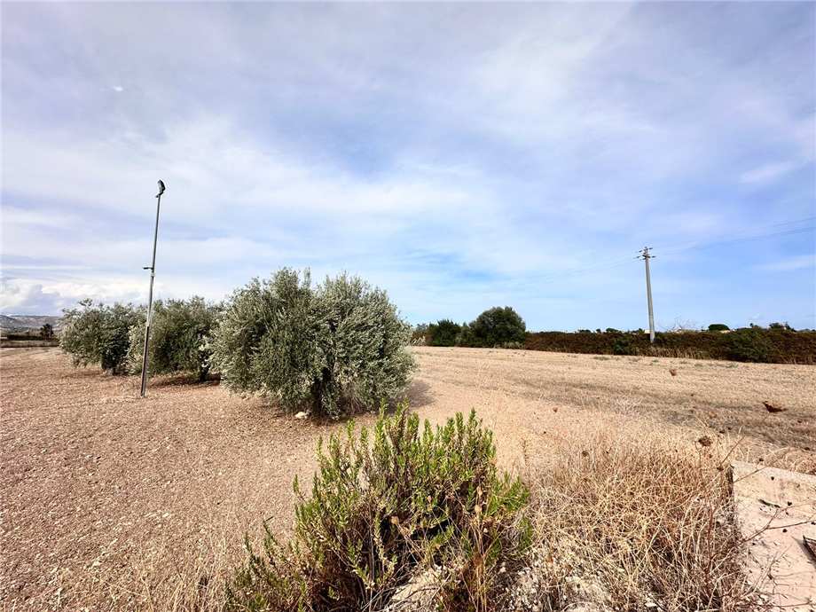 For sale Ruin Noto #25RT n.17