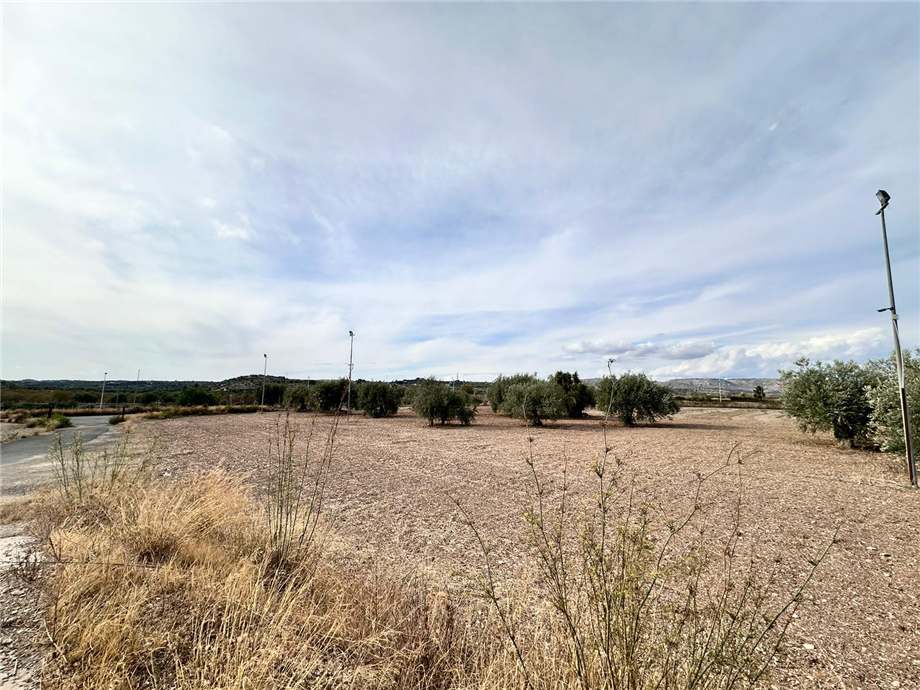 For sale Ruin Noto #25RT n.19