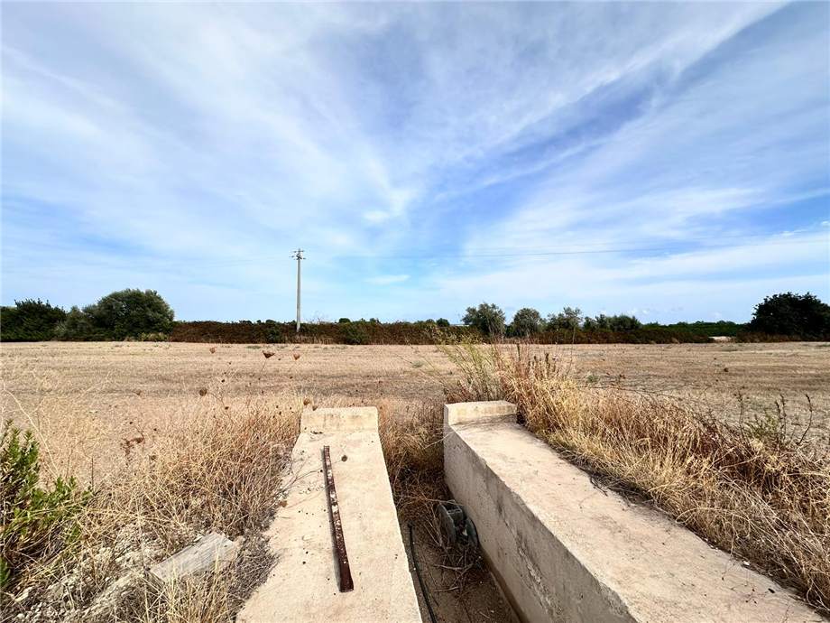 For sale Ruin Noto #25RT n.20