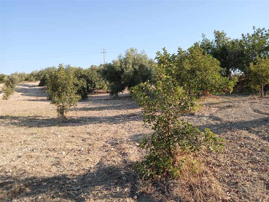 Vendita Terreno Noto #195T n.8